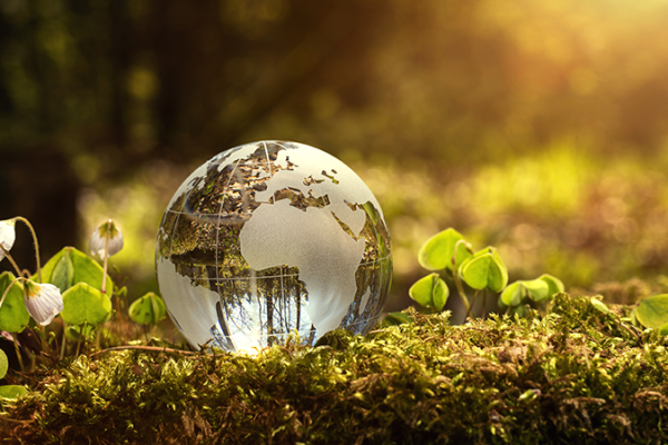 csr_environment_800x450